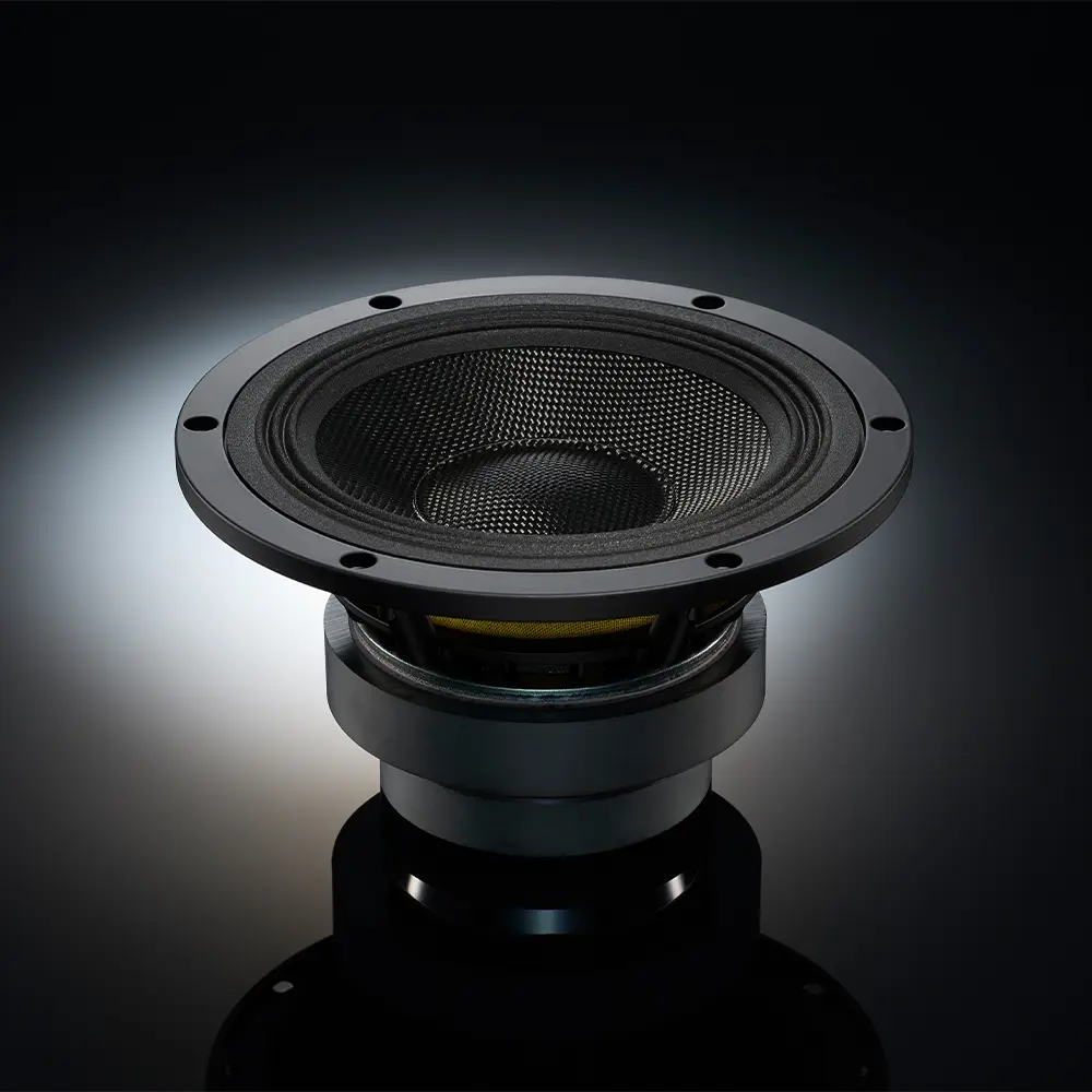 TAD Coherent Source Transducer (CST) Driver